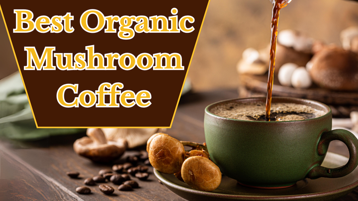 Unveiling the Best Organic Mushroom Coffee for Weight Loss on Keto